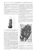 giornale/CFI0356408/1933/unico/00000366
