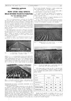 giornale/CFI0356408/1934/unico/00000223