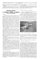 giornale/CFI0356408/1934/unico/00000227