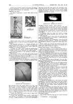 giornale/CFI0356408/1935/unico/00000606