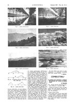 giornale/CFI0356408/1937/unico/00000016