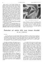 giornale/CFI0356408/1938/unico/00000040