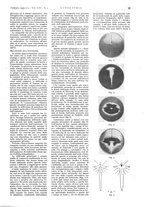 giornale/CFI0356408/1939/unico/00000081