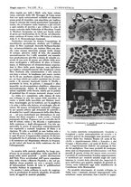 giornale/CFI0356408/1939/unico/00000243