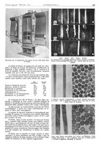 giornale/CFI0356408/1941/unico/00000213