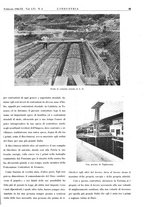 giornale/CFI0356408/1942/unico/00000055