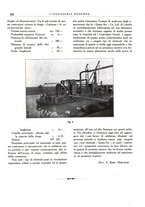 giornale/CFI0356582/1929/unico/00000484