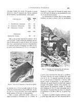 giornale/CFI0356582/1929/unico/00000521