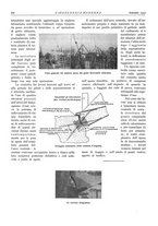 giornale/CFI0356582/1933/unico/00000392