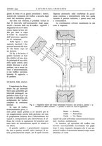 giornale/CFI0356582/1933/unico/00000395