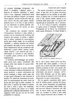 giornale/CFI0356693/1931-1932/unico/00000047