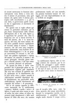 giornale/CFI0356693/1933/unico/00000013