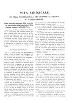 giornale/CFI0356693/1933/unico/00000055