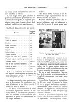 giornale/CFI0356693/1933/unico/00000235