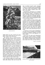 giornale/CFI0356924/1941-1942/unico/00000117