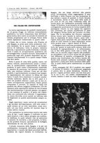 giornale/CFI0356924/1941-1942/unico/00000253