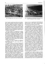 giornale/CFI0356924/1941-1942/unico/00000300