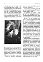 giornale/CFI0356924/1941-1942/unico/00000358