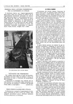 giornale/CFI0356924/1941-1942/unico/00000371