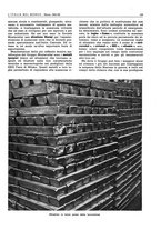 giornale/CFI0356924/1941-1942/unico/00000507