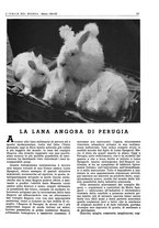 giornale/CFI0356924/1941-1942/unico/00000539