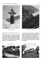 giornale/CFI0356924/1941-1942/unico/00000575