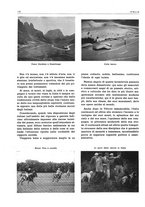 giornale/CFI0356924/1941-1942/unico/00000576