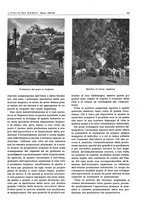 giornale/CFI0356924/1941-1942/unico/00000659