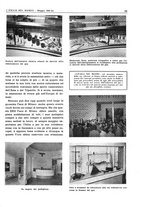 giornale/CFI0356924/1941-1942/unico/00000917