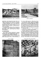 giornale/CFI0356924/1941-1942/unico/00001051