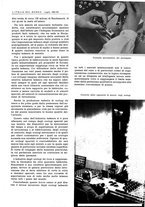 giornale/CFI0356924/1941-1942/unico/00001095