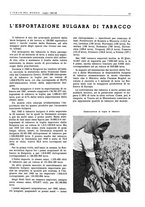 giornale/CFI0356924/1941-1942/unico/00001125