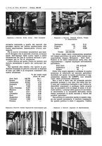 giornale/CFI0356924/1941-1942/unico/00001189