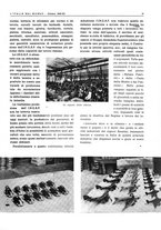 giornale/CFI0356924/1941-1942/unico/00001193