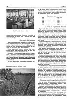 giornale/CFI0356924/1941-1942/unico/00001344