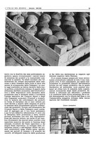 giornale/CFI0356924/1943/V.1/00000043