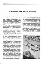 giornale/CFI0356924/1943/V.1/00000045