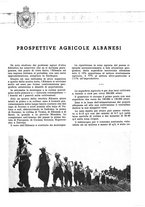 giornale/CFI0356924/1943/V.1/00000079