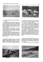 giornale/CFI0356924/1943/V.1/00000081