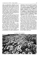 giornale/CFI0356924/1943/V.1/00000195