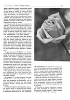 giornale/CFI0356924/1943/V.1/00000197