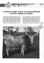 giornale/CFI0356924/1943/V.1/00000289