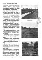giornale/CFI0356924/1943/V.1/00000291
