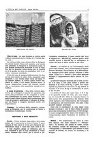 giornale/CFI0356924/1943/V.1/00000299