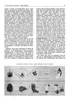 giornale/CFI0356924/1943/V.1/00000321