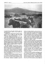 giornale/CFI0356924/1943/V.2/00000202