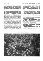 giornale/CFI0356924/1943/V.2/00000266