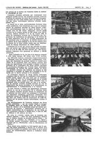 giornale/CFI0356924/1943/V.2/00000279