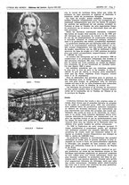 giornale/CFI0356924/1943/V.2/00000349