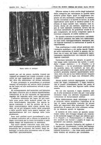 giornale/CFI0356924/1943/V.2/00000370